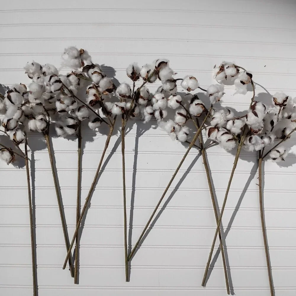 9 Pc Artificial Cotton Stems 24-26